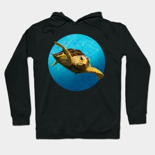 Loggerhead Turtle Hoodie